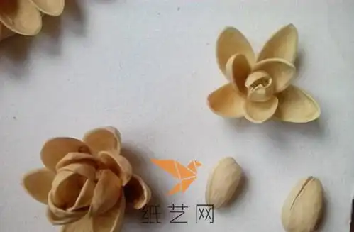 开心果壳变废为宝装饰画
