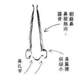 榨干男人钱财的恶女面相