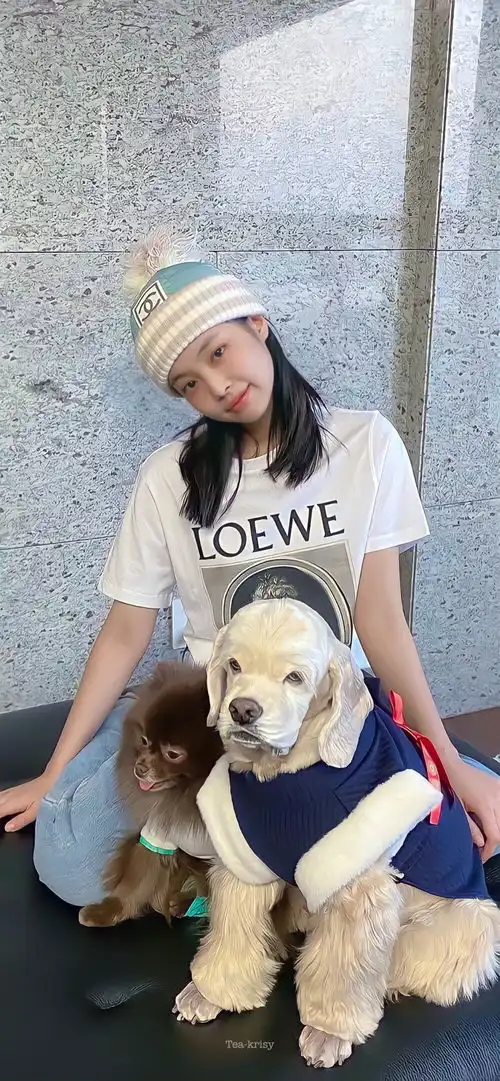 金智妮手机壁纸头像