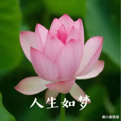 100个就有99个女生会拒绝的头像,微信头像五个误区,你还在用吗