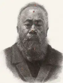 素描头像学习要点光影训练