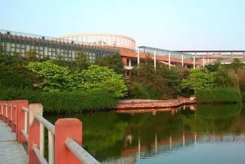 19岁大学生给女友的室友摘荷花溺亡父母发声校方有责任