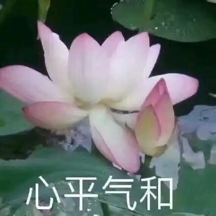 听同事说老板又买了两套房,下班回家的路上毫无预兆地哭了出来