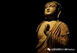 女祭司语录错误