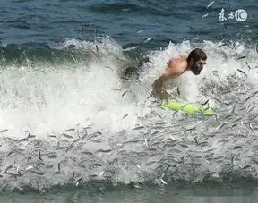 一直弄不懂,这男的脖子上戴的是啥东西