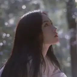 百星会员如何升级