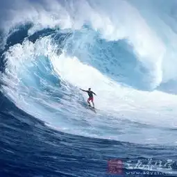 冲浪运动为什么那么多男人都爱冲浪