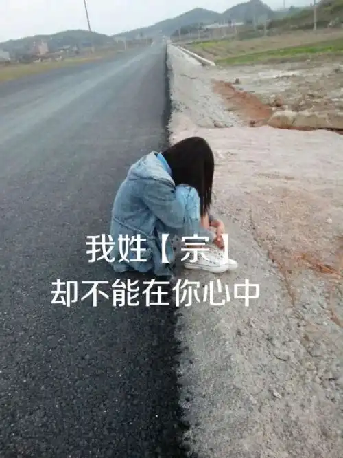 头像我姓宗姓氏
