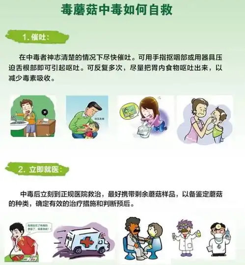 野生菌中毒该如何自救