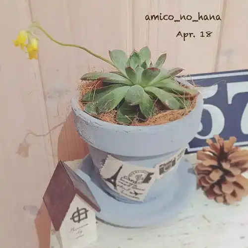 日本主妇打造一个童话般的家,配色清新似绘本,看完就想好好过日子...