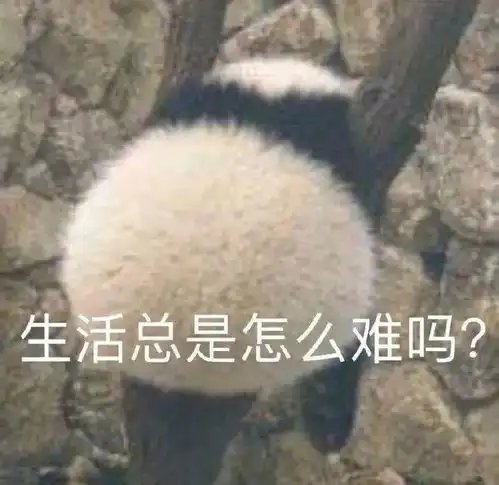 13岁女孩配合警方当诱饵,竟被嫌疑人当面带走性侵