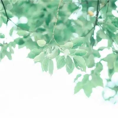 微信头像治愈系小清新