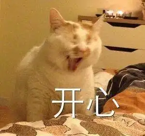 金牛座女生和双鱼座男生在一起合适吗