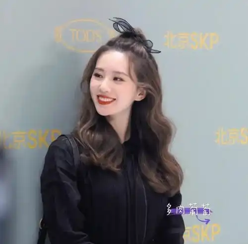 刘诗诗娱乐圈里的气质美人

