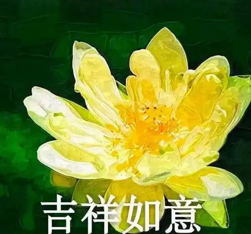 e句话看天下丨昨晚,你为杰伦哭了吗