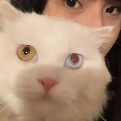 闺蜜头像相似的人很多或许我也没有那么特别