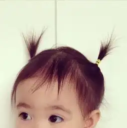求这张图片的高清大图