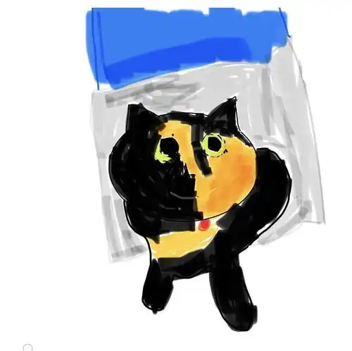 看完豆瓣灵魂画猫组,我笑到劈叉