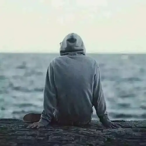 励志girl求租,喜欢做饭,看电影,减肉肉