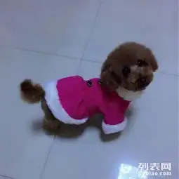 想给狗狗找一个好主人只限女生噢