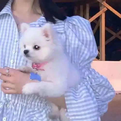 女生头像丨头像女不露脸