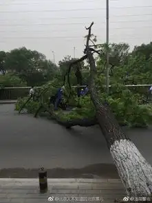 实拍北京今天风多大你们感受下