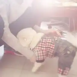 孟三叹不想长大的美拍