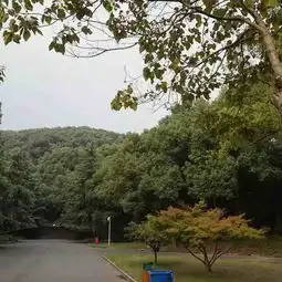 2020佘山天主教堂门票,松江佘山天主教堂游玩攻略,佘山天主教堂游览攻略路线地址门票价格
