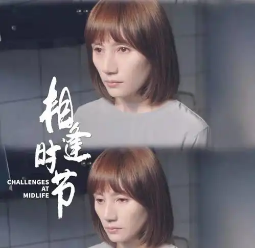 相逢时节老中青气质型美女齐聚,夏梦清新,袁泉独特,严晓频优雅