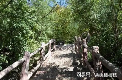 17岁姑娘上山挖野菜,脱下外套送小女孩,竟因此救了怀孕的母亲