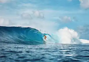 鲨口脱险真人版我也怕死,却经常做不要命的事