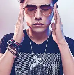 教你使用dmesh制作高逼格低多边形照片