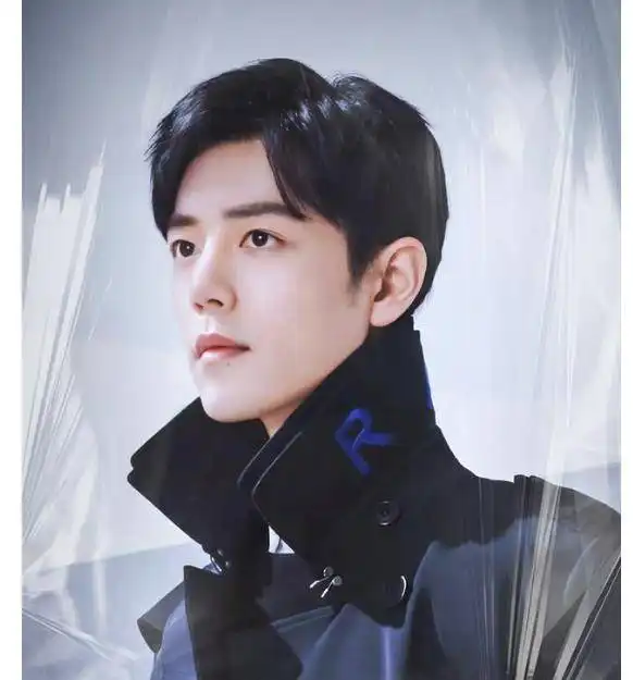 肖战,你在的城市初雪降临,期待你的惊喜分享波司登热度值99