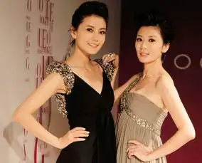 高圆圆贾静雯才是真闺蜜,姐妹情谊15年不变