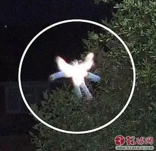 小伙睡梦中海里漂流四天世界离奇事件盘点