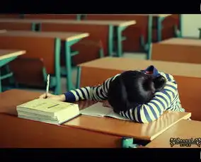 清纯小美女,清新校园风