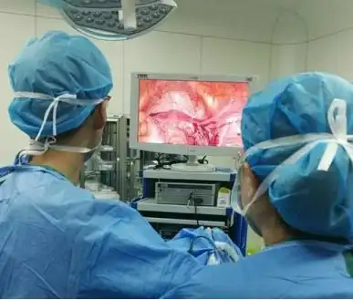 双阴道双子宫多囊卵巢不孕症患者成功孕育