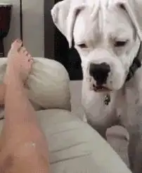 刚交往的幼师女朋友,我怎么不放心让她去教小朋友呢哈哈哈哈