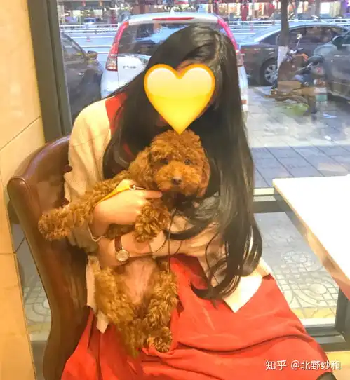 有没有推荐的胖女孩穿搭and推荐的淘宝店铺