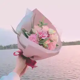 树洞四级分低雅思托福gre刷起来