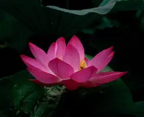 花花世界专辑第2页色影快乐