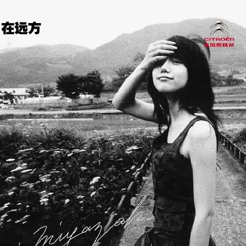 让我看看你的自由与精彩