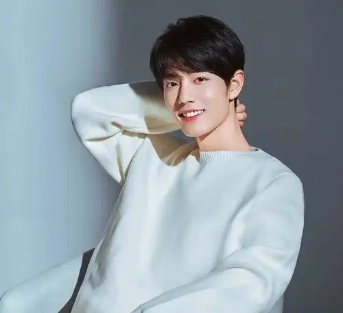 王一博肖战头像q版