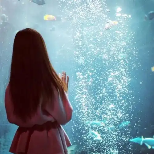 孙女刚出生就被奶奶扔出家门,二十年后再见面,全直了眼