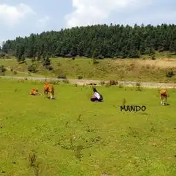 仙女山门票,湘潭县仙女山攻略地址图片门票价格