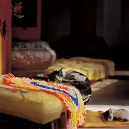 寺院里出现的女施主