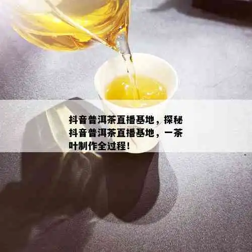 云南普洱茶直播基地昆明地址与抖音电商直播详情