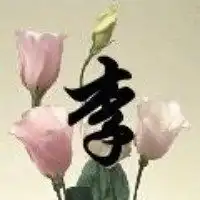 李字头像带字图片大全微信头像图片大全