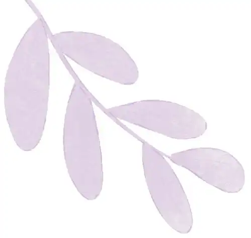 星座女神超强剧透,揭秘2025年事业爱情财富学业前三名
