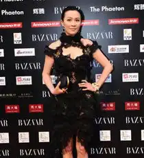 刘嘉玲称传媒拍照乱写纯当娱乐新闻